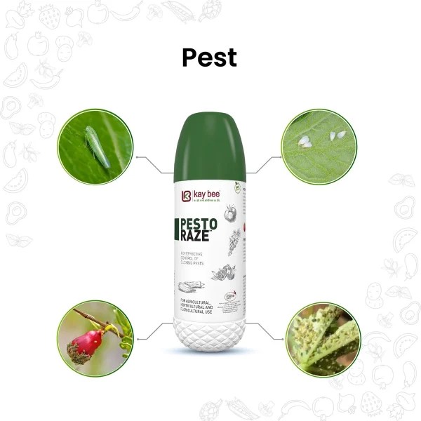 Best Insecticide for Aphids, White Flies, Jassids & all Sucking Pest