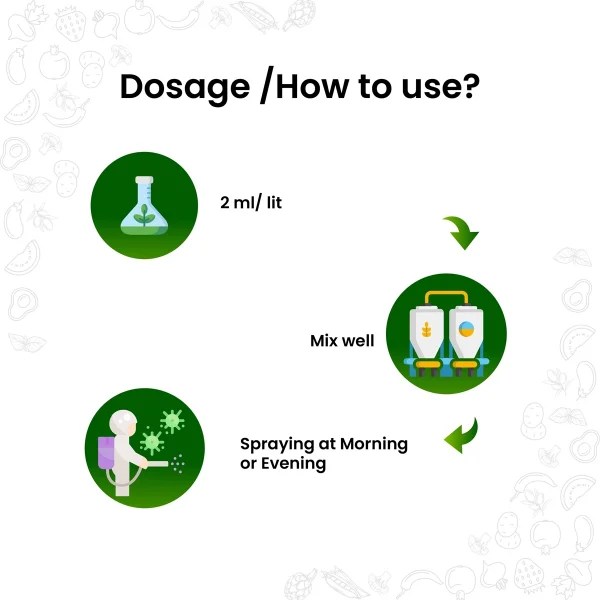 Buy Best Insecticide for Mealybugs on Plants Mealy Raze