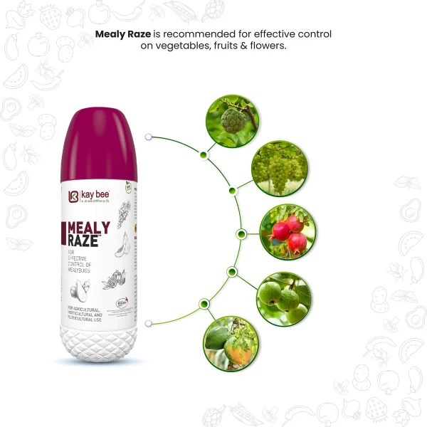 Buy Best Insecticide for Mealybugs on Plants Mealy Raze