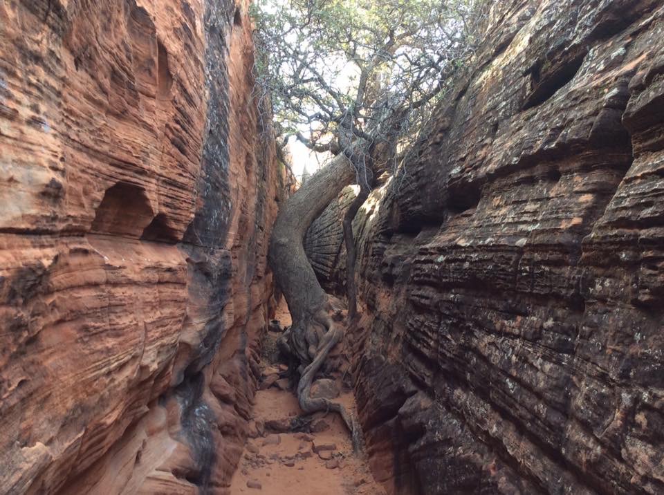 Snow Canyon Slot Canyon Gallery Kayenta Trails
