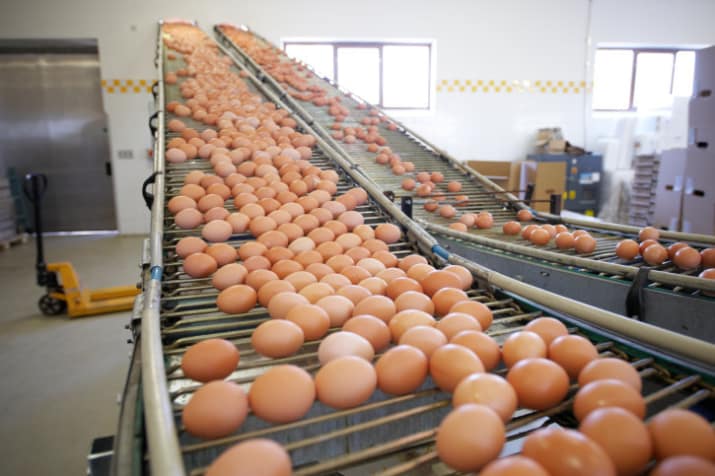 Ten Things You Never Knew About . . . Eggs Granny Robertson's Cookbook