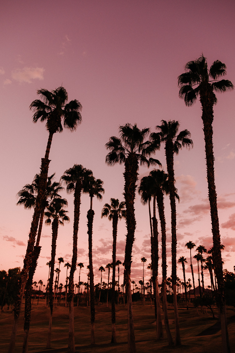 The Best PetFriendly Hotels in Palm Springs Kaylchip