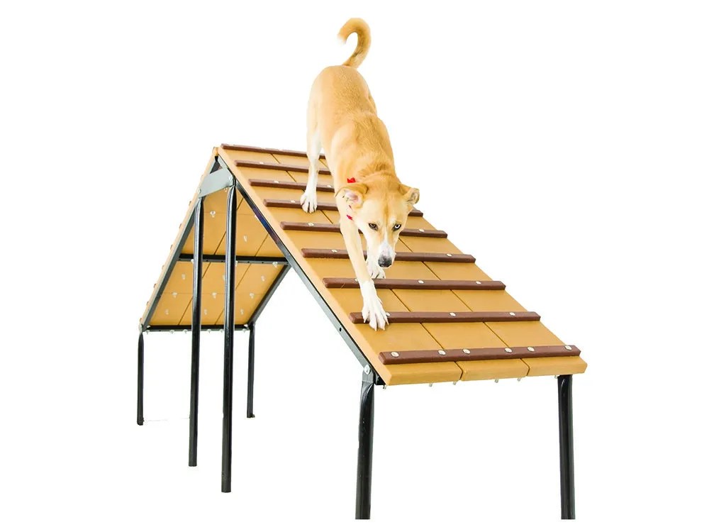 Kay 9 Dog Park "A" Ramp Kay Park