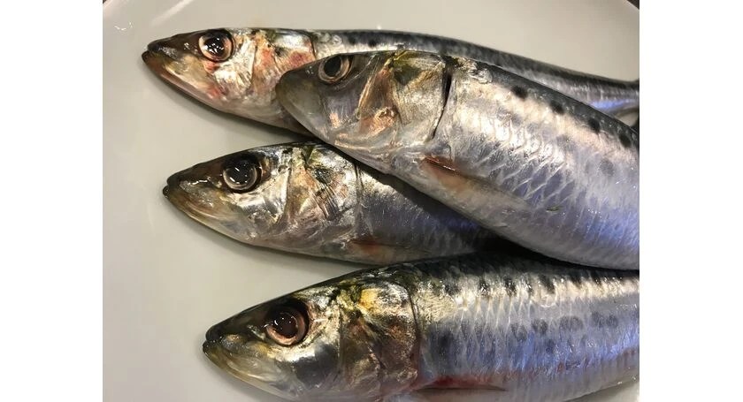 魚弱 二子玉川の和食はデートや個室でのお食事会も人気です