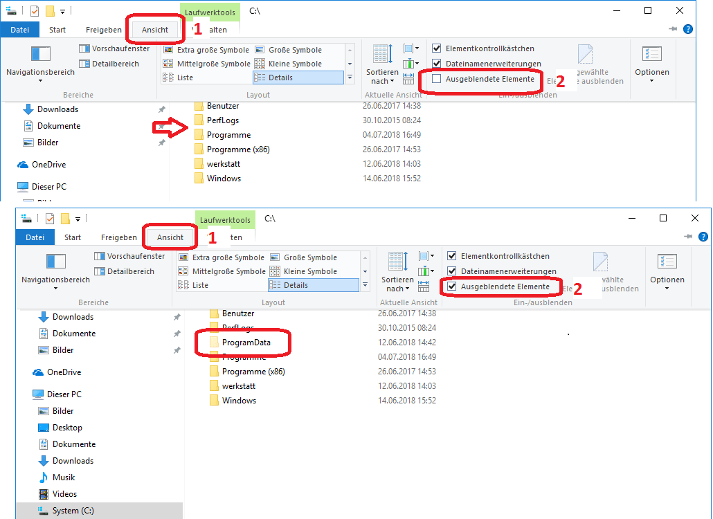 Hidden ProgramData missing from File Explorer Microsoft.