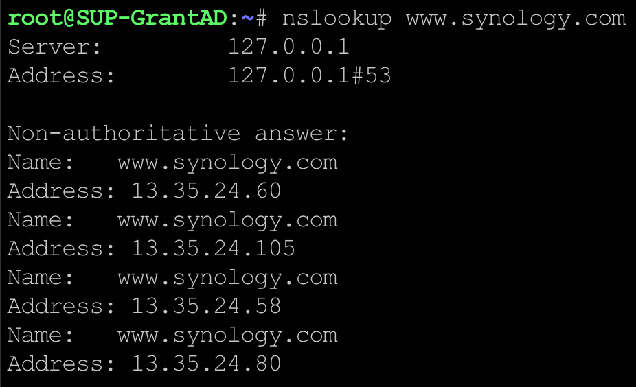 How can I query DNS records with the nslookup command? Synology Knowledge Center
