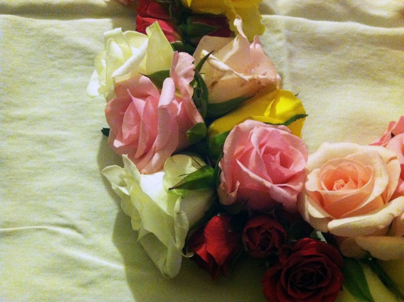 INT12 Roselani Blossoms