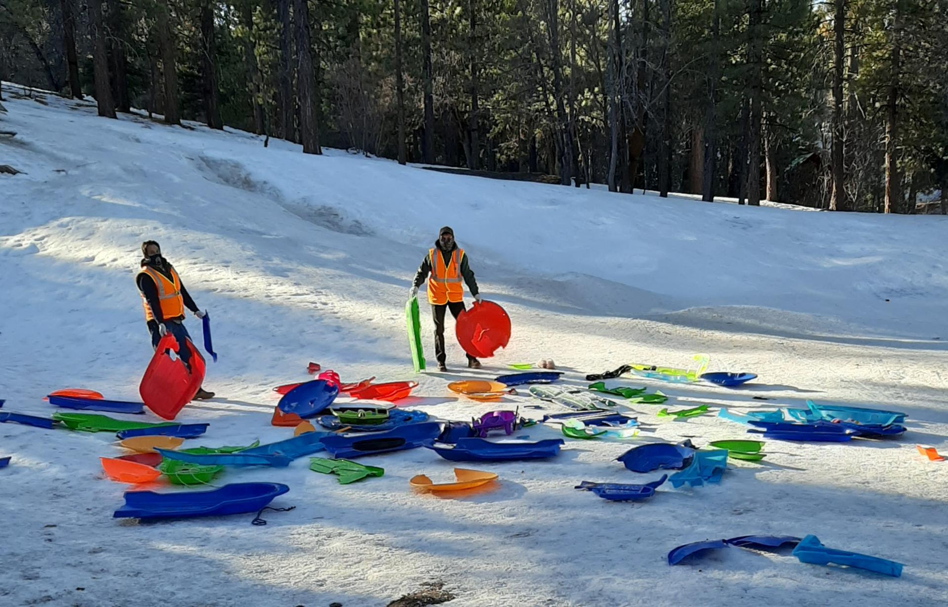 Care For Big Bear Joins Forces with Nativescapes