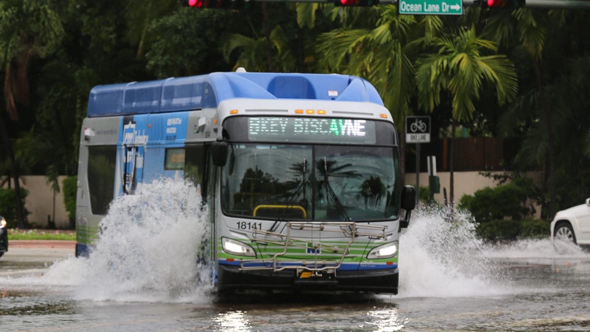 Miami Dade Transit Buses