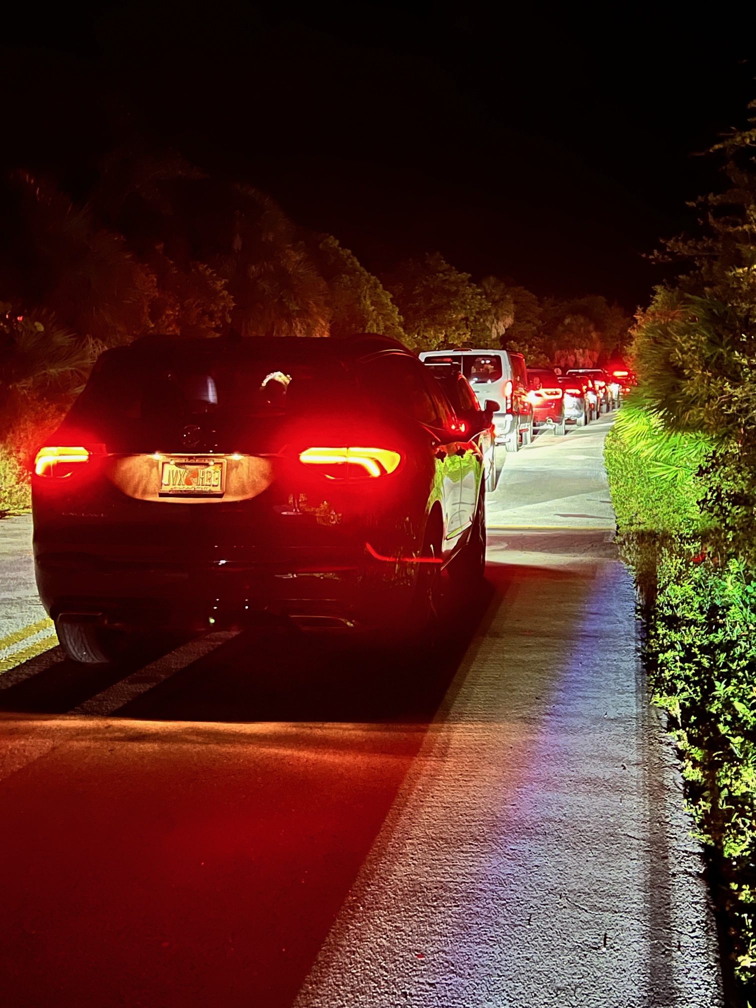 Cars abandoned, WinnDixie overrun, road refugees seeking shelter