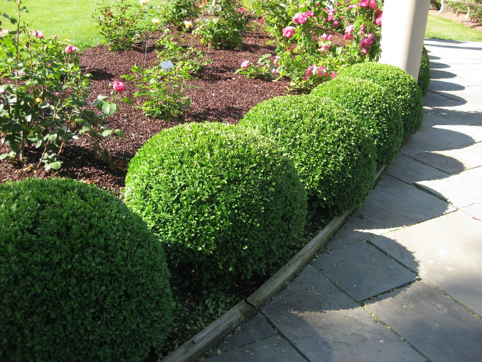 Shrub Trimming Lawn Mowing Service and Tree Care in Connecticut KB