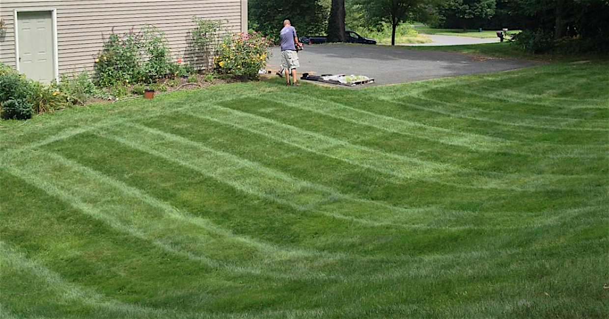 Lawns Lawn Mowing Service and Tree Care in Connecticut KB Lawn and Tree