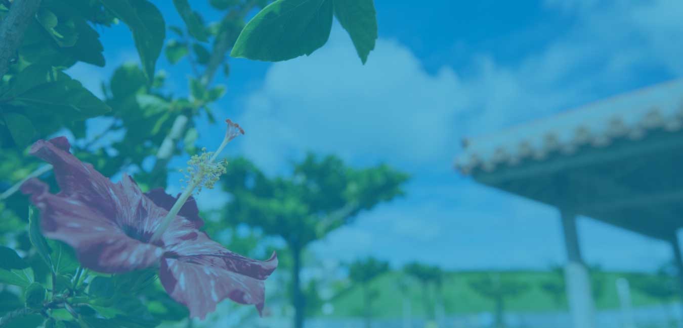 KC Cleaning Most Reliable Cleaners in Okinawa, Japan