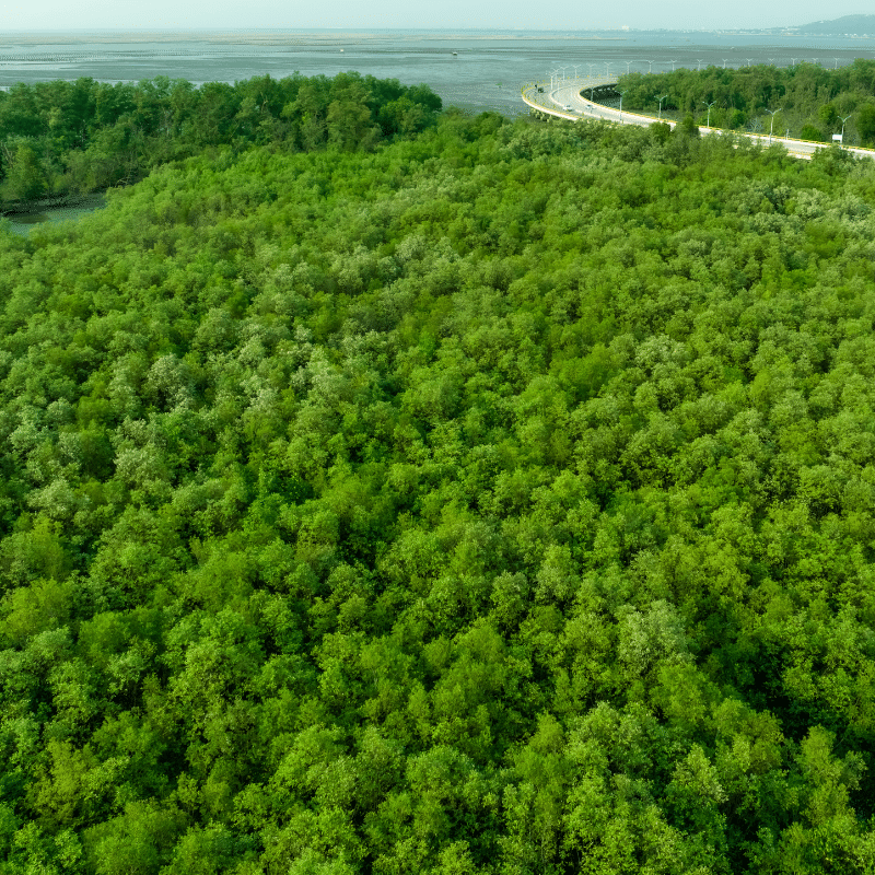 Understanding KC’s carbon capture technology UNO MK3 KC8