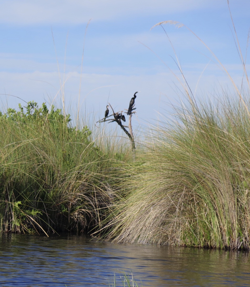Evening in Xakanaxa So Many Exciting and Beautiful Places!