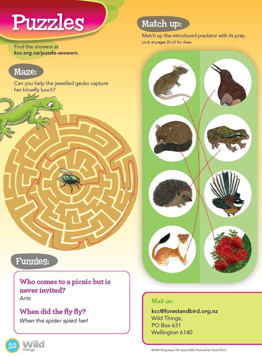 Puzzle Answers Kiwi Conservation Club