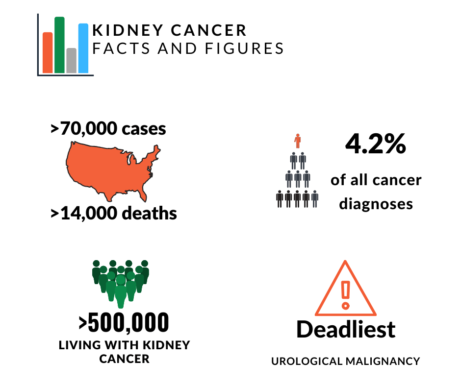 Kidney Cancer Statistics KCCure