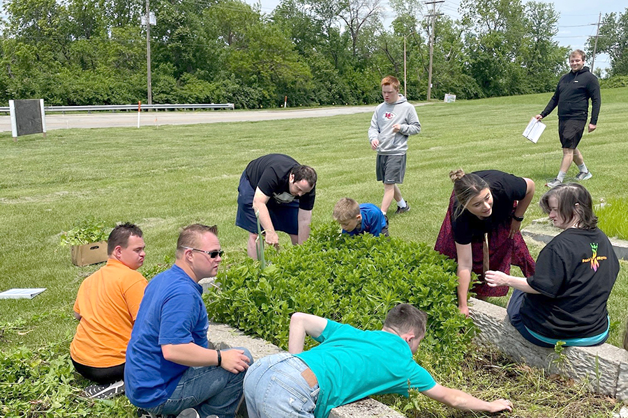 Summer Social and SkillBuilding Groups for Adults (In Person) Down