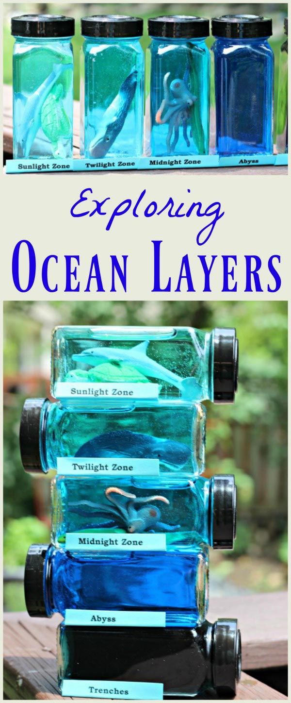Ocean Zones for Kids Marine Life & Sea Layers