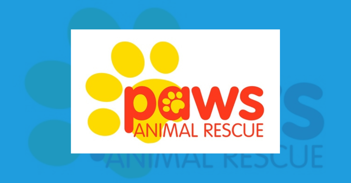 KCLR LIVE PAWS Animal Rescue in Financial Turmoil