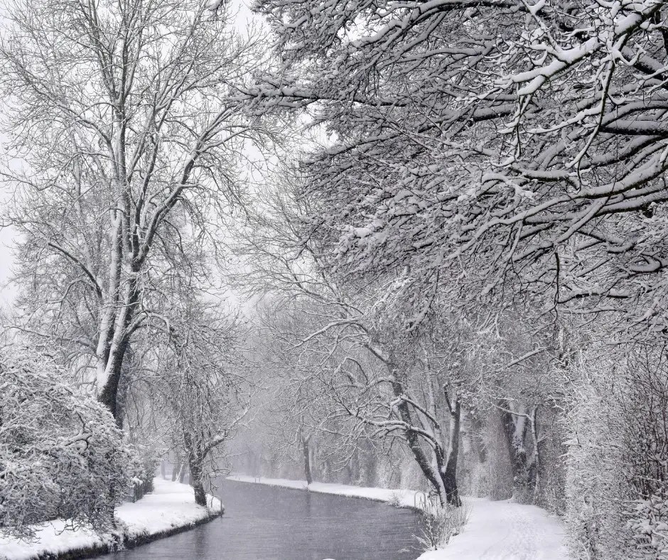 Cold Weather Rule Takes Effect in Kansas Protections for Utility