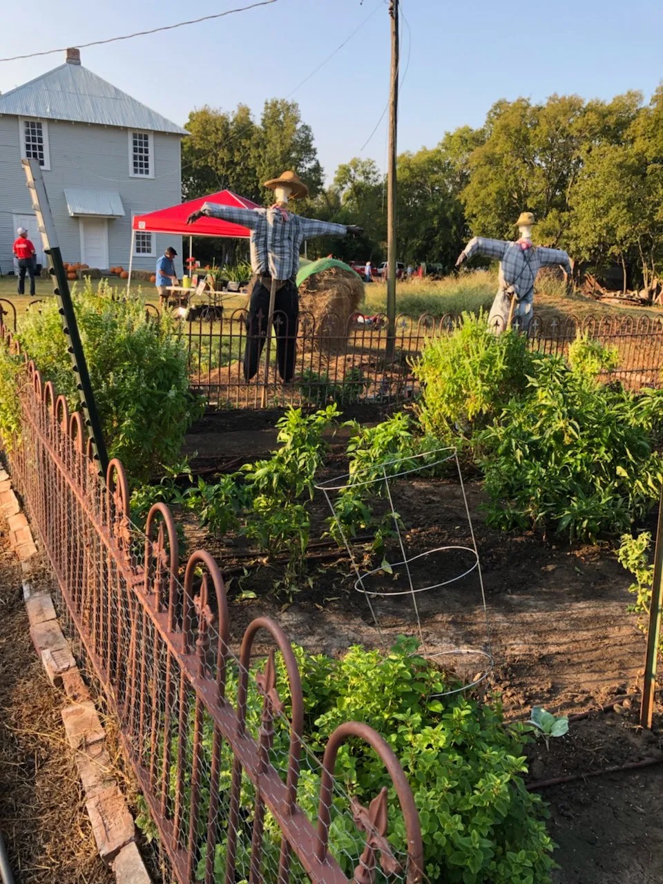 First Annual Vintage Garden Market Draws Over 500 Visitors Kaufman County Master Gardener