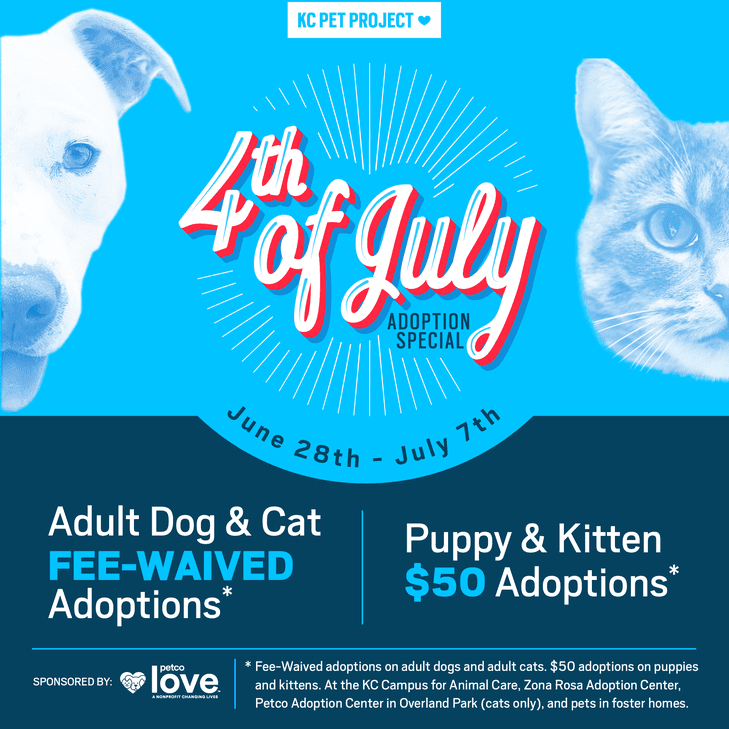 4th of July Adoption Special KC Pet Project