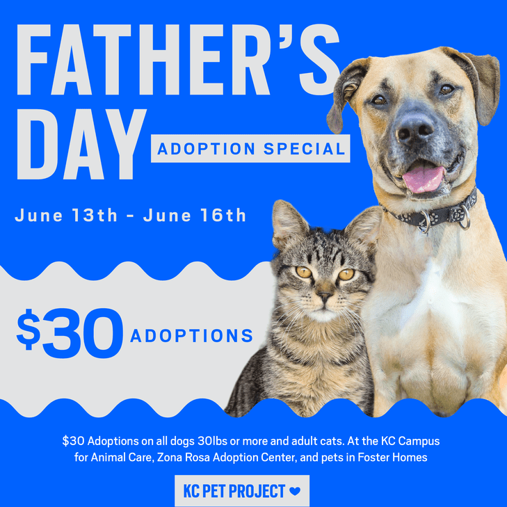 Father's Day Adoption Special KC Pet Project
