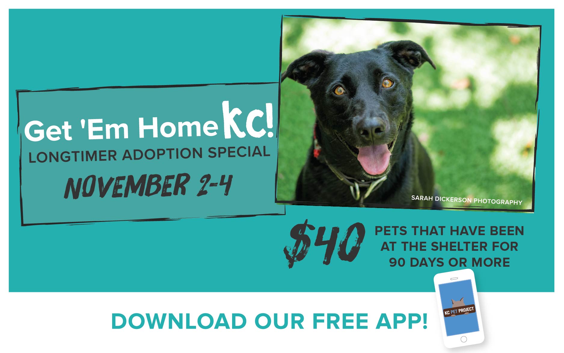 Get 'Em Home KC Challenge Continues! KC Pet Project