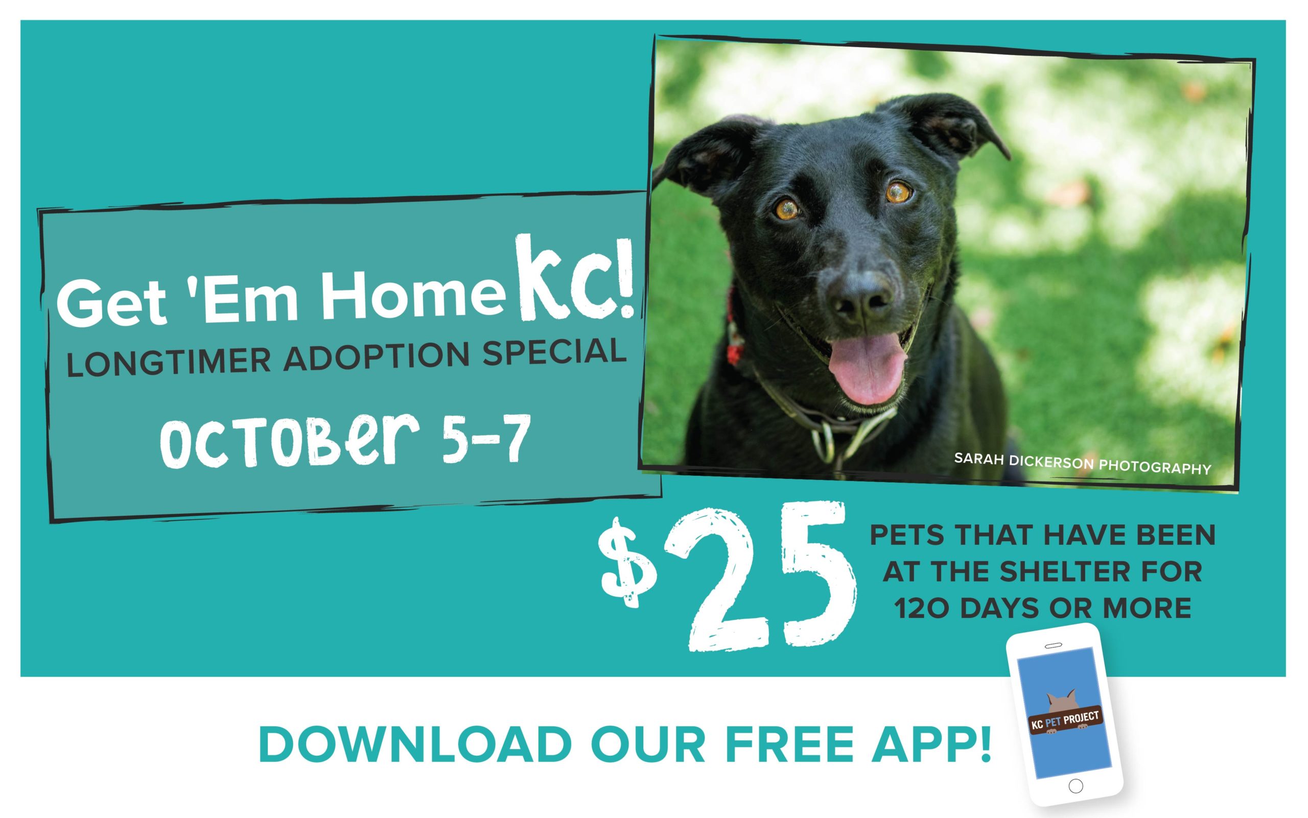 Get 'Em Home KC Longtimer Adoption Special KC Pet Project