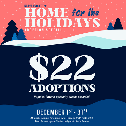 Home For The Holidays Adoption Special KC Pet Project