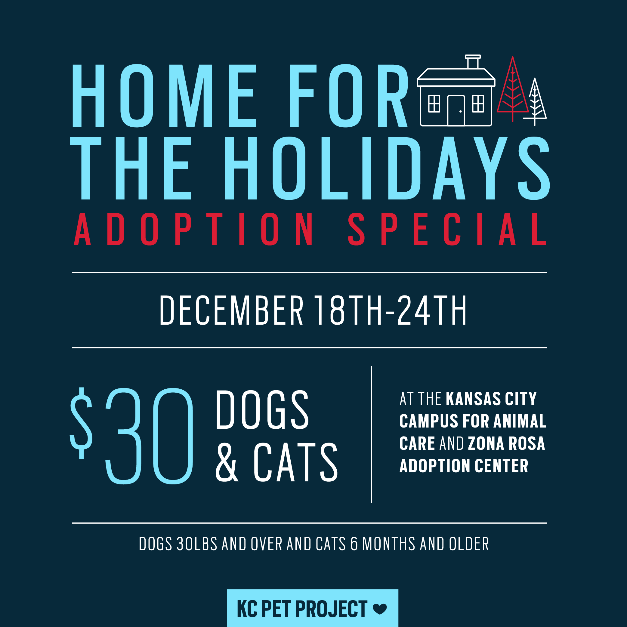 Home for the Holidays Adoption Special KC Pet Project