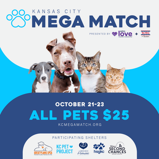 Kc Mega Match is Back This Weekend KC Pet Project