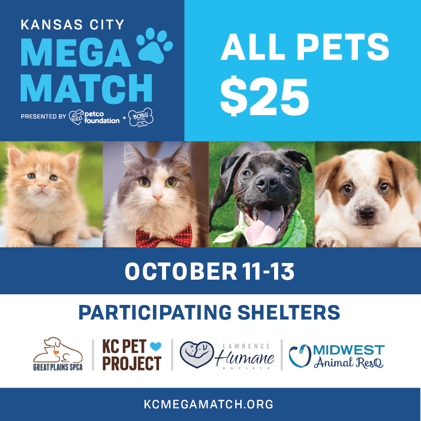 Pet Shelters Kansas City Animal Shelter Haysville Ks Humane Society