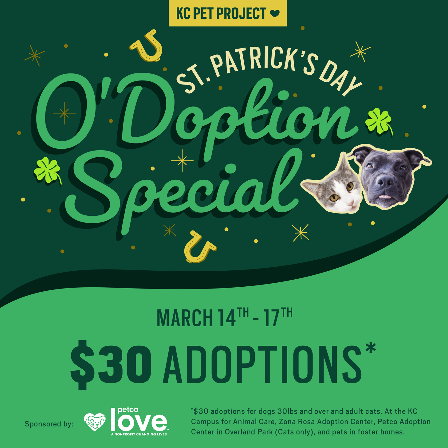 St. Patrick's Day O'Doption Special KC Pet Project