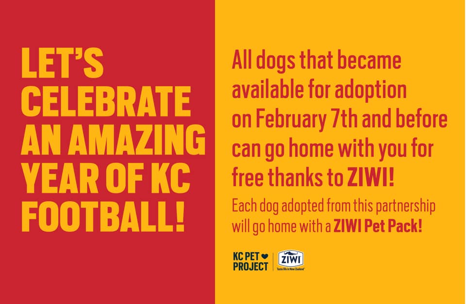 Pet Food Company, ZIWI, Sponsors All Dog Adoptions at KC Pet Project