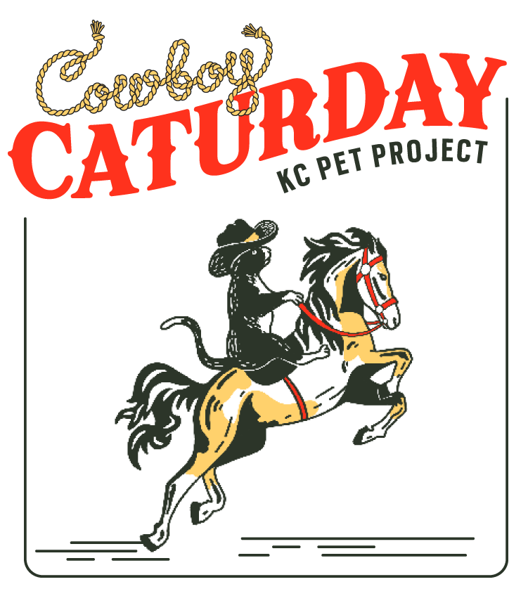 Caturday in the Crossroads A Bar Crawl for KCPP KC Pet Project