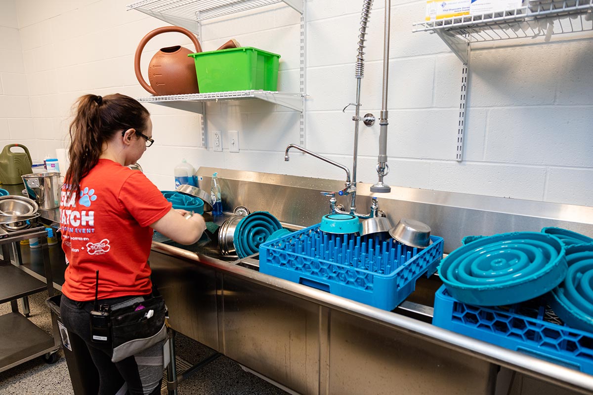 KCCAC Features KC Pet Project