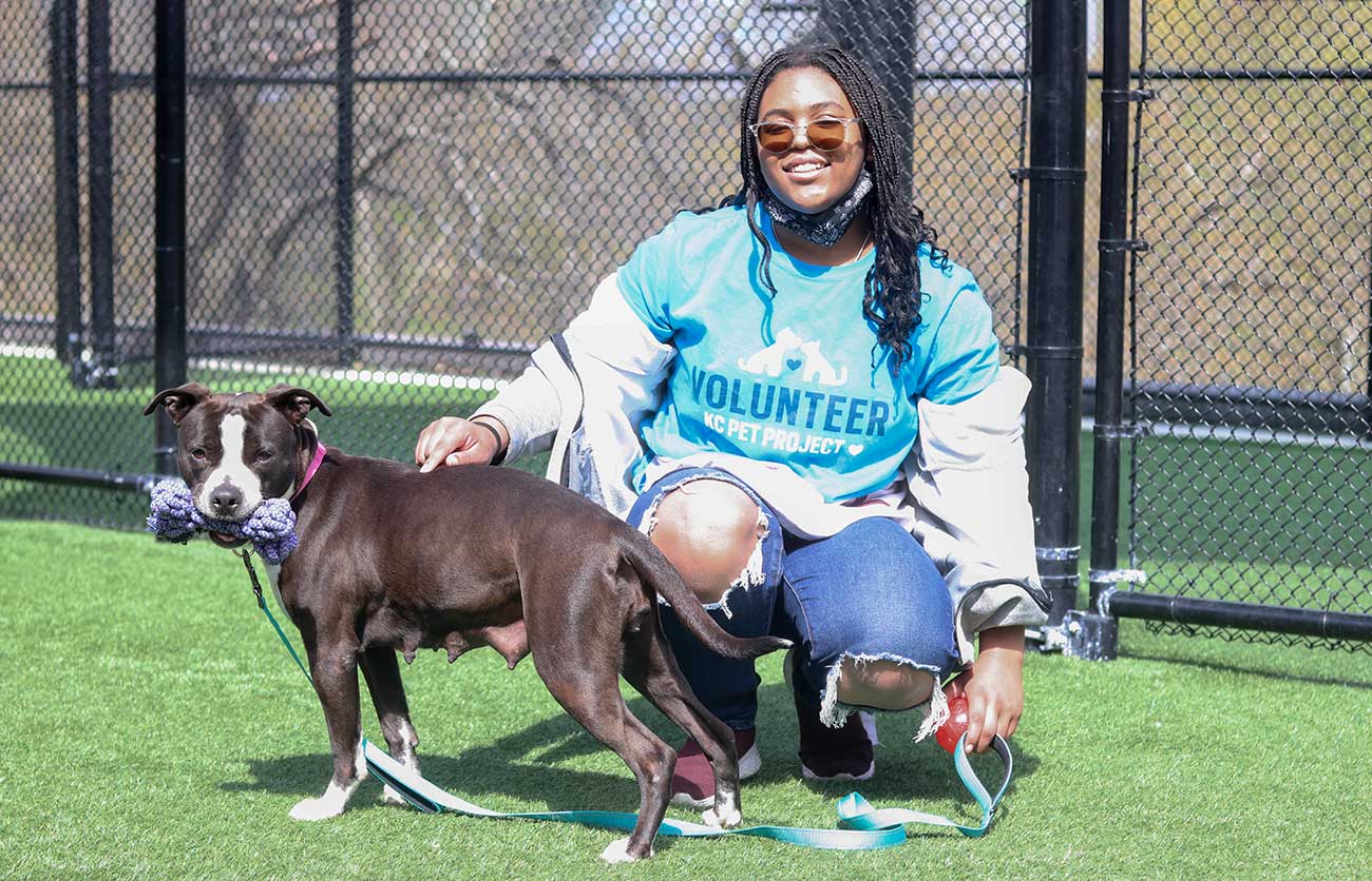 Volunteer • KC Pet Project