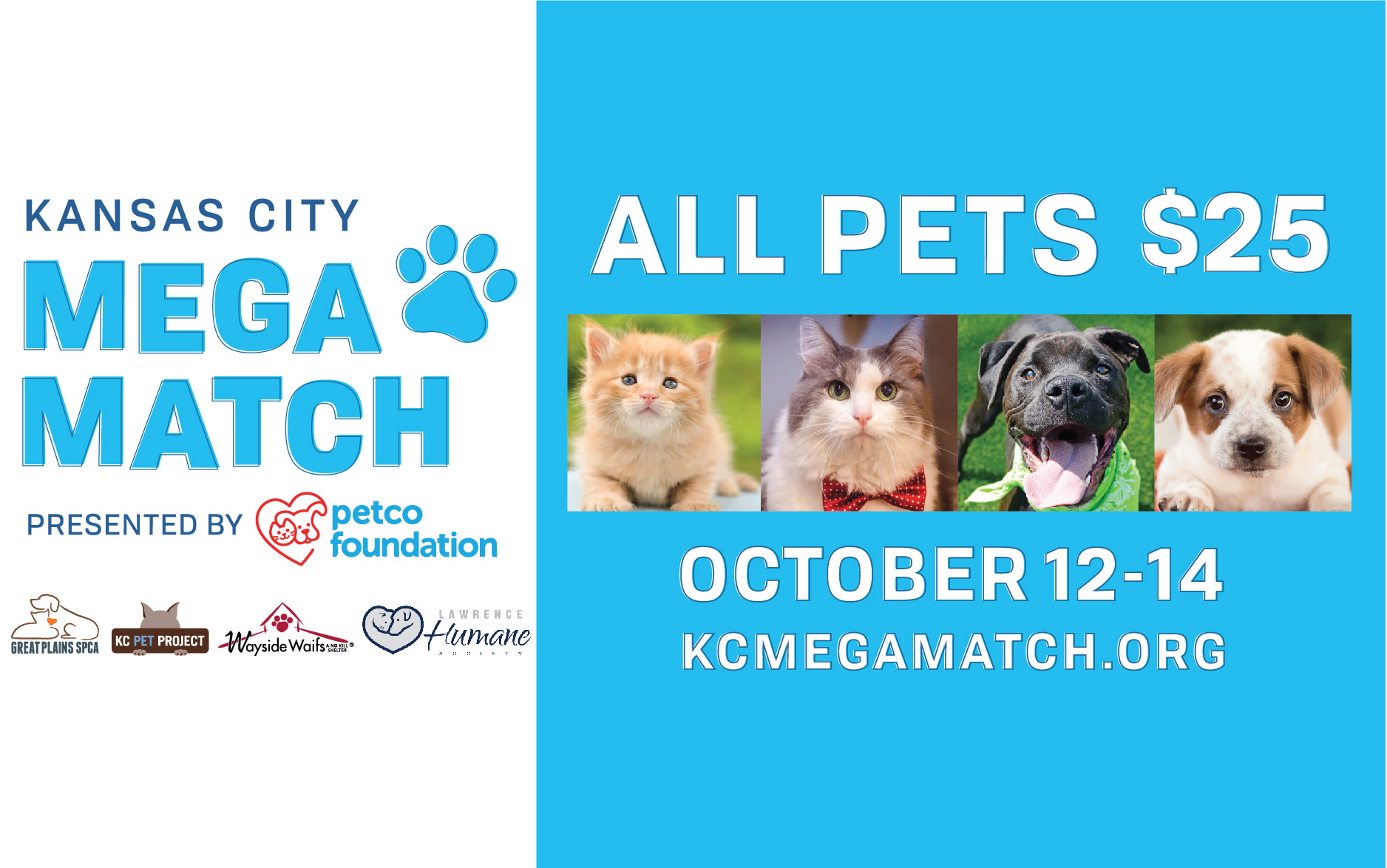 Kc Pet Adoption Agencies Unleashed Pet Rescue And Adoption Home