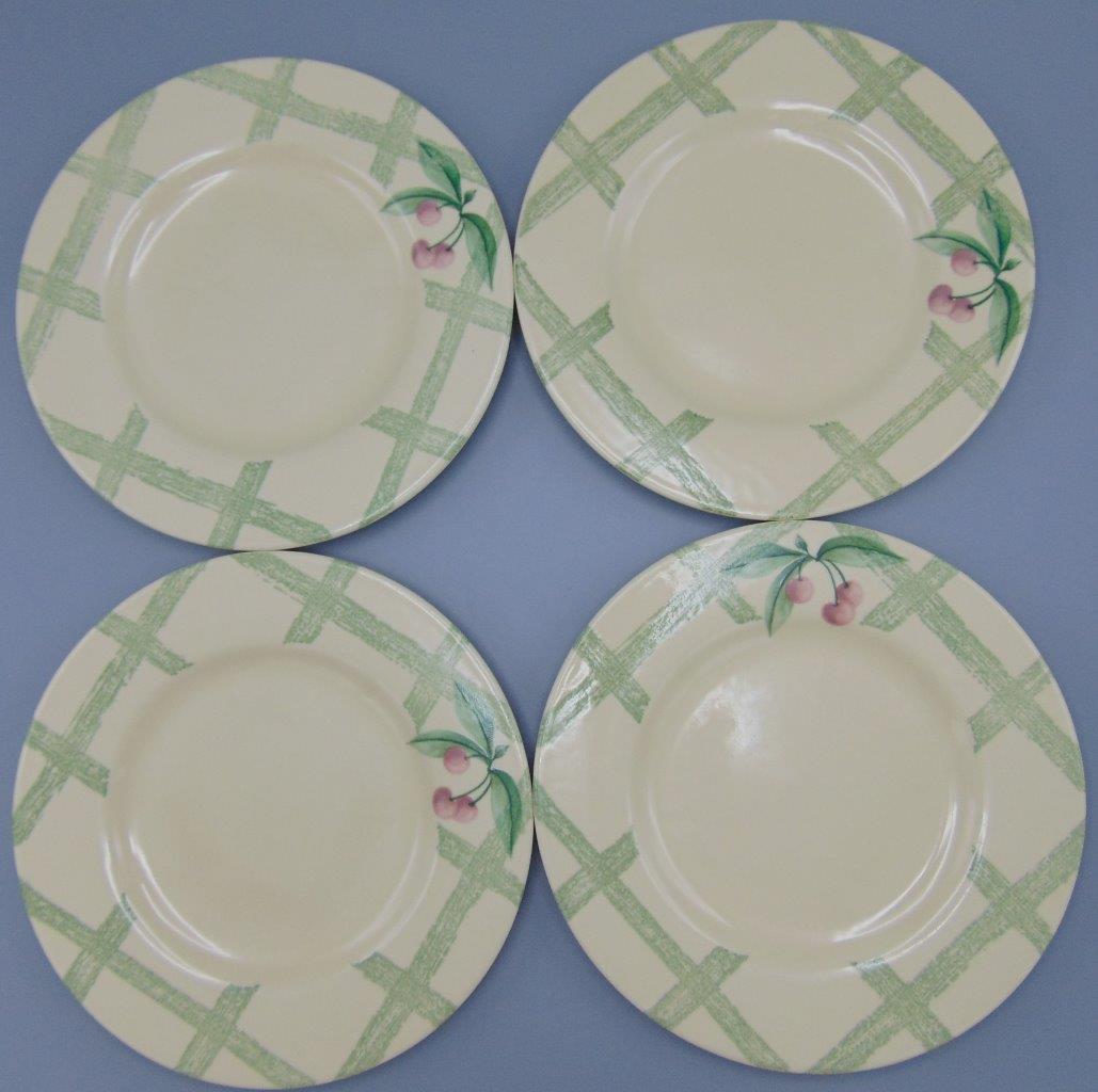 13 Pfaltzgraff Garden Party/Impressions 8" Salad/Luncheon Plates