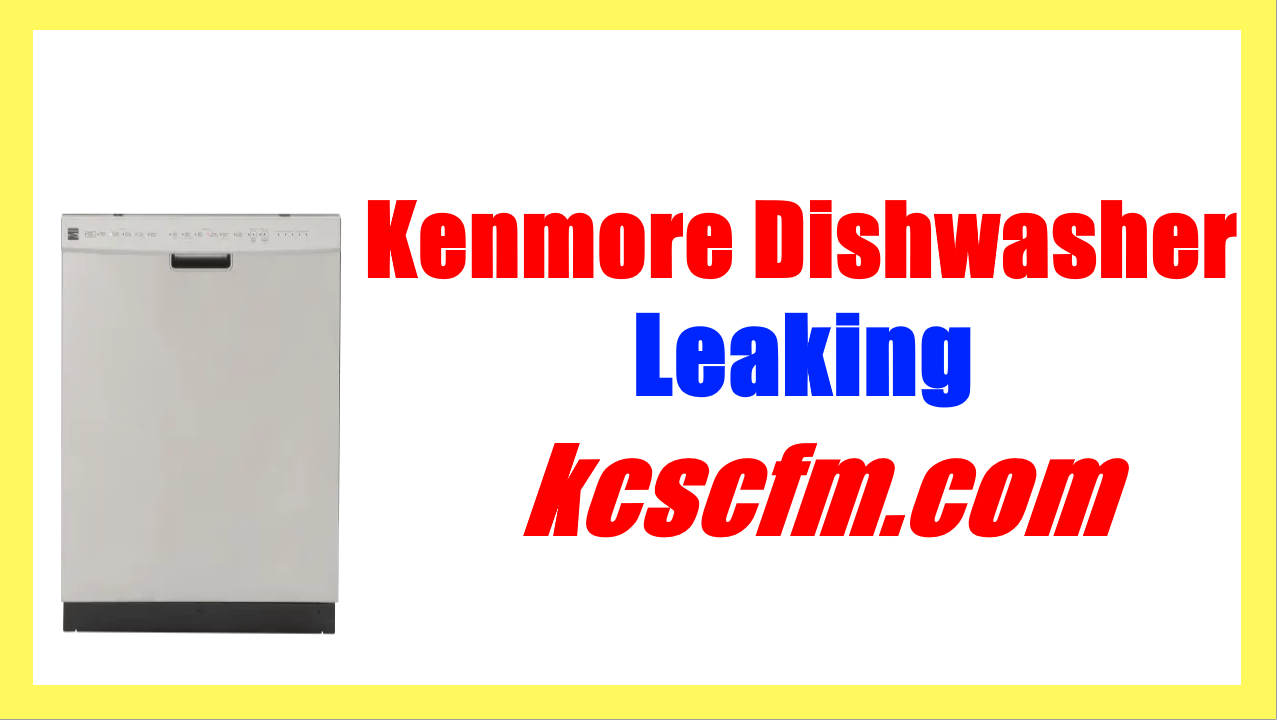 7 Reasons Why Kenmore Dishwasher Leaking - Let's Fix It