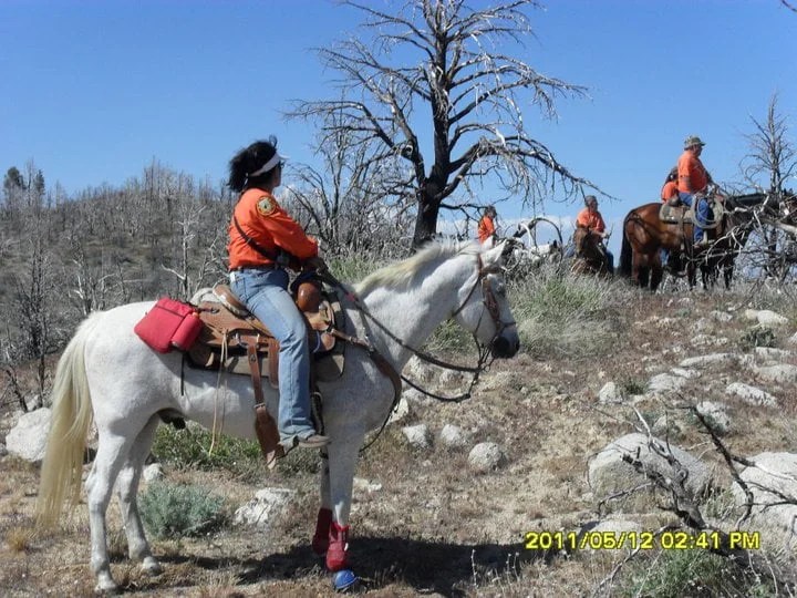 2011 Tehachapi Search Kern County Sheriff's Mounted Search and Rescue