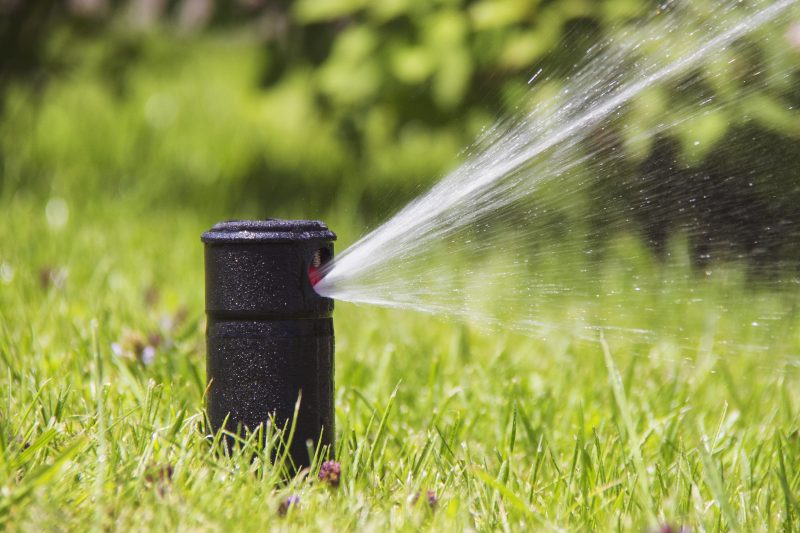 Preventing Broken Sprinkler Heads What You Need to Know