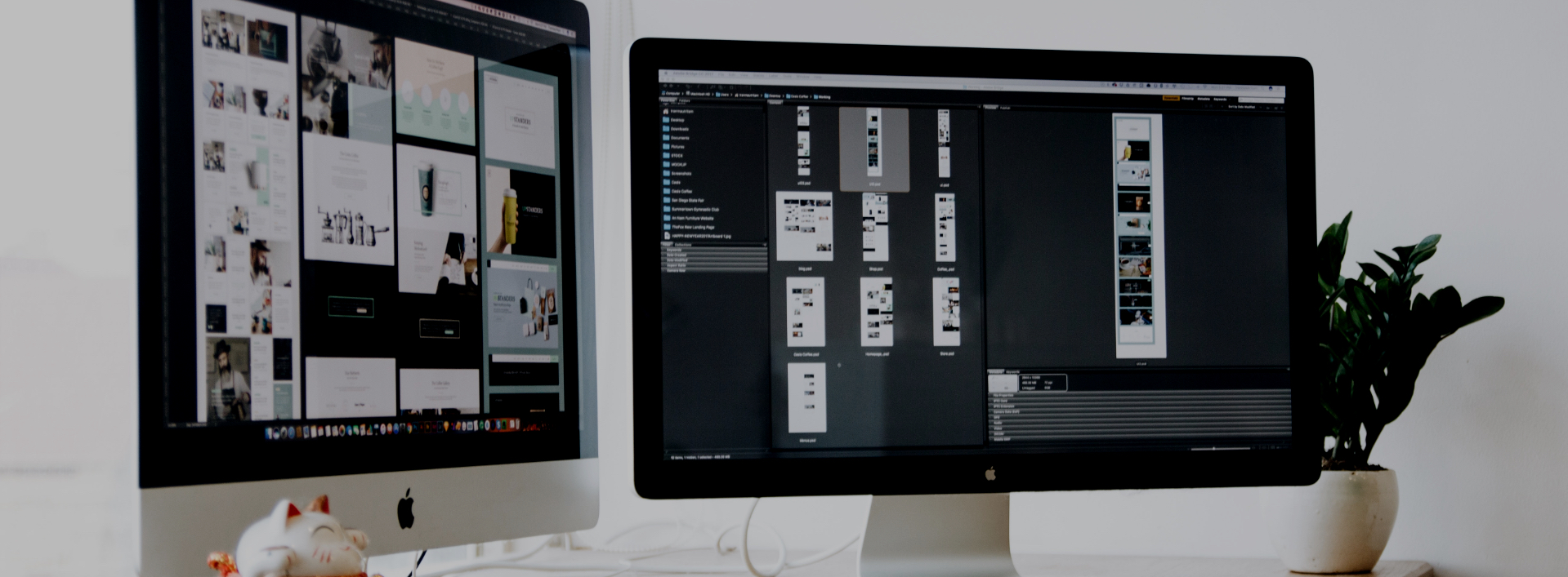 SUCCESSFUL RESULTS KDV Design