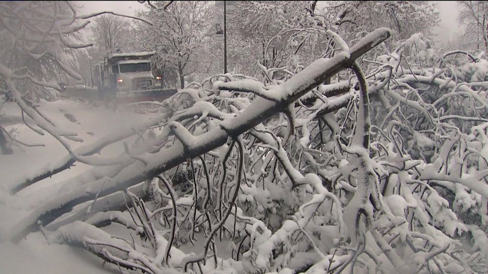 Xcel Energy calls in outofstate crews in case snow causes power outages FOX31 Denver