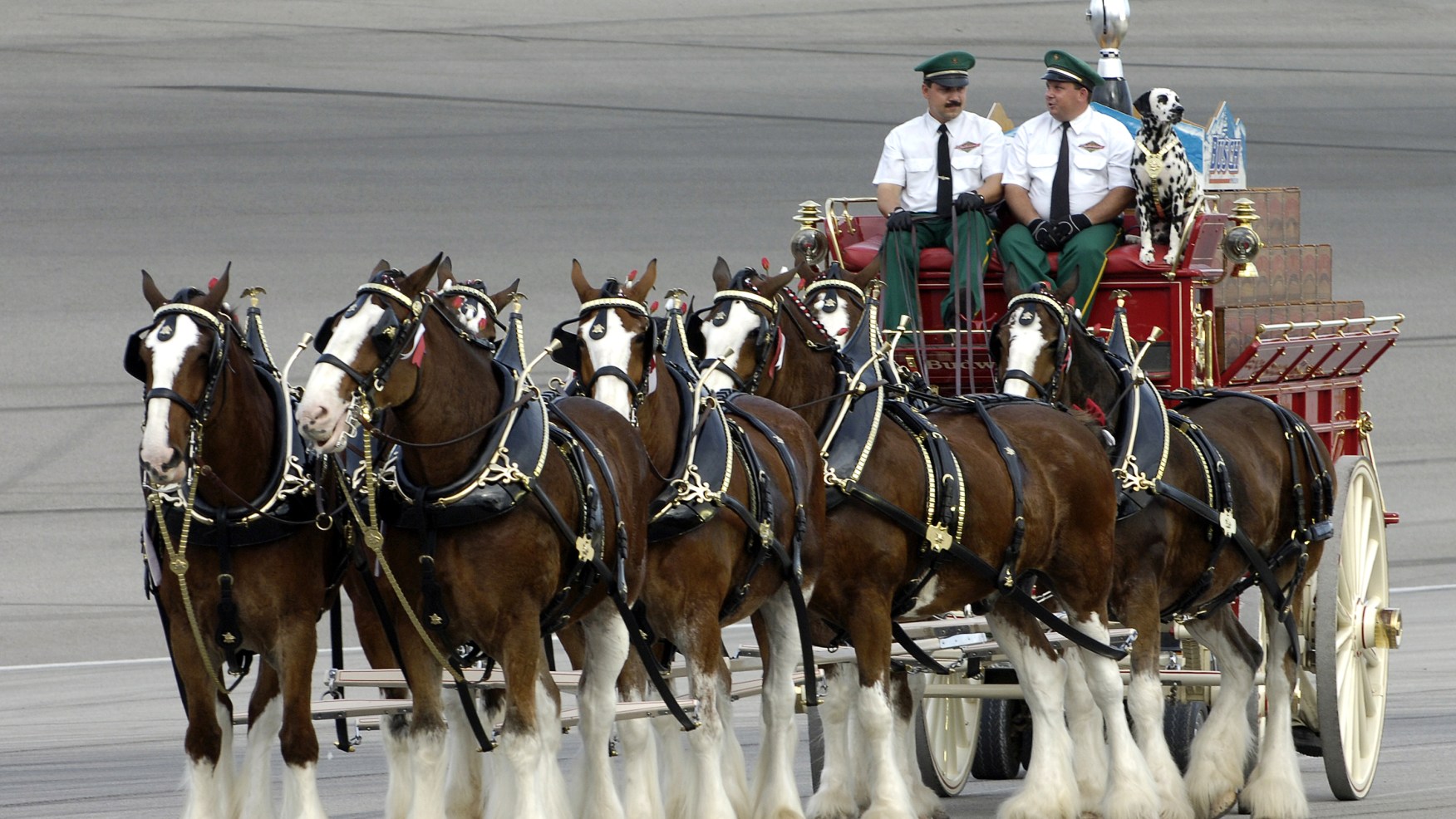 Budweiser Clydesdales 2024 Schedule California A PHP Error was encountered Severity: Notice Message: Undefined variable: image Filename: C:\laragon\www\025-imake-01-07-23-bing-sentense\application\cache\blade\3aa85ec9516c5f321d399fdaef98cc95aba0bf89.php Line Number: 16 Backtrace: File: C:\laragon\www\025-imake-01-07-23-bing-sentense\application\cache\blade\3aa85ec9516c5f321d399fdaef98cc95aba0bf89.php Line: 16 Function: _error_handler File: C:\laragon\www\025-imake-01-07-23-bing-sentense\application\third_party\vendor\illuminate\view\Engines\PhpEngine.php Line: 41 Function: include File: C:\laragon\www\025-imake-01-07-23-bing-sentense\application\third_party\vendor\illuminate\view\Engines\CompilerEngine.php Line: 57 Function: evaluatePath File: C:\laragon\www\025-imake-01-07-23-bing-sentense\application\third_party\vendor\illuminate\view\View.php Line: 139 Function: get File: C:\laragon\www\025-imake-01-07-23-bing-sentense\application\third_party\vendor\illuminate\view\View.php Line: 122 Function: getContents File: C:\laragon\www\025-imake-01-07-23-bing-sentense\application\third_party\vendor\illuminate\view\View.php Line: 91 Function: renderContents File: C:\laragon\www\025-imake-01-07-23-bing-sentense\application\third_party\vendor\duncan3dc\blade\src\BladeInstance.php Line: 416 Function: render File: C:\laragon\www\025-imake-01-07-23-bing-sentense\application\helpers\blade_helper.php Line: 23 Function: render File: C:\laragon\www\025-imake-01-07-23-bing-sentense\application\helpers\export_blade_helper.php Line: 38 Function: view File: C:\laragon\www\025-imake-01-07-23-bing-sentense\application\cache\blade\cdde3bef8743dea3cfc253129eb3b2643dc9852f.php Line: 37 Function: exportXML File: C:\laragon\www\025-imake-01-07-23-bing-sentense\application\third_party\vendor\illuminate\view\Engines\PhpEngine.php Line: 41 Function: include File: C:\laragon\www\025-imake-01-07-23-bing-sentense\application\third_party\vendor\illuminate\view\Engines\CompilerEngine.php Line: 57 Function: evaluatePath File: C:\laragon\www\025-imake-01-07-23-bing-sentense\application\third_party\vendor\illuminate\view\View.php Line: 139 Function: get File: C:\laragon\www\025-imake-01-07-23-bing-sentense\application\third_party\vendor\illuminate\view\View.php Line: 122 Function: getContents File: C:\laragon\www\025-imake-01-07-23-bing-sentense\application\third_party\vendor\illuminate\view\View.php Line: 91 Function: renderContents File: C:\laragon\www\025-imake-01-07-23-bing-sentense\application\third_party\vendor\duncan3dc\blade\src\BladeInstance.php Line: 416 Function: render File: C:\laragon\www\025-imake-01-07-23-bing-sentense\application\helpers\blade_helper.php Line: 23 Function: render File: C:\laragon\www\025-imake-01-07-23-bing-sentense\application\models\export\Compile_xml.php Line: 17 Function: view File: C:\laragon\www\025-imake-01-07-23-bing-sentense\application\controllers\Export.php Line: 94 Function: start File: C:\laragon\www\025-imake-01-07-23-bing-sentense\application\controllers\Export.php Line: 43 Function: do_compile File: C:\laragon\www\025-imake-01-07-23-bing-sentense\index.php Line: 318 Function: require_once A PHP Error was encountered Severity: Notice Message: Trying to access array offset on value of type null Filename: C:\laragon\www\025-imake-01-07-23-bing-sentense\application\cache\blade\3aa85ec9516c5f321d399fdaef98cc95aba0bf89.php Line Number: 16 Backtrace: File: C:\laragon\www\025-imake-01-07-23-bing-sentense\application\cache\blade\3aa85ec9516c5f321d399fdaef98cc95aba0bf89.php Line: 16 Function: _error_handler File: C:\laragon\www\025-imake-01-07-23-bing-sentense\application\third_party\vendor\illuminate\view\Engines\PhpEngine.php Line: 41 Function: include File: C:\laragon\www\025-imake-01-07-23-bing-sentense\application\third_party\vendor\illuminate\view\Engines\CompilerEngine.php Line: 57 Function: evaluatePath File: C:\laragon\www\025-imake-01-07-23-bing-sentense\application\third_party\vendor\illuminate\view\View.php Line: 139 Function: get File: C:\laragon\www\025-imake-01-07-23-bing-sentense\application\third_party\vendor\illuminate\view\View.php Line: 122 Function: getContents File: C:\laragon\www\025-imake-01-07-23-bing-sentense\application\third_party\vendor\illuminate\view\View.php Line: 91 Function: renderContents File: C:\laragon\www\025-imake-01-07-23-bing-sentense\application\third_party\vendor\duncan3dc\blade\src\BladeInstance.php Line: 416 Function: render File: C:\laragon\www\025-imake-01-07-23-bing-sentense\application\helpers\blade_helper.php Line: 23 Function: render File: C:\laragon\www\025-imake-01-07-23-bing-sentense\application\helpers\export_blade_helper.php Line: 38 Function: view File: C:\laragon\www\025-imake-01-07-23-bing-sentense\application\cache\blade\cdde3bef8743dea3cfc253129eb3b2643dc9852f.php Line: 37 Function: exportXML File: C:\laragon\www\025-imake-01-07-23-bing-sentense\application\third_party\vendor\illuminate\view\Engines\PhpEngine.php Line: 41 Function: include File: C:\laragon\www\025-imake-01-07-23-bing-sentense\application\third_party\vendor\illuminate\view\Engines\CompilerEngine.php Line: 57 Function: evaluatePath File: C:\laragon\www\025-imake-01-07-23-bing-sentense\application\third_party\vendor\illuminate\view\View.php Line: 139 Function: get File: C:\laragon\www\025-imake-01-07-23-bing-sentense\application\third_party\vendor\illuminate\view\View.php Line: 122 Function: getContents File: C:\laragon\www\025-imake-01-07-23-bing-sentense\application\third_party\vendor\illuminate\view\View.php Line: 91 Function: renderContents File: C:\laragon\www\025-imake-01-07-23-bing-sentense\application\third_party\vendor\duncan3dc\blade\src\BladeInstance.php Line: 416 Function: render File: C:\laragon\www\025-imake-01-07-23-bing-sentense\application\helpers\blade_helper.php Line: 23 Function: render File: C:\laragon\www\025-imake-01-07-23-bing-sentense\application\models\export\Compile_xml.php Line: 17 Function: view File: C:\laragon\www\025-imake-01-07-23-bing-sentense\application\controllers\Export.php Line: 94 Function: start File: C:\laragon\www\025-imake-01-07-23-bing-sentense\application\controllers\Export.php Line: 43 Function: do_compile File: C:\laragon\www\025-imake-01-07-23-bing-sentense\index.php Line: 318 Function: require_once 