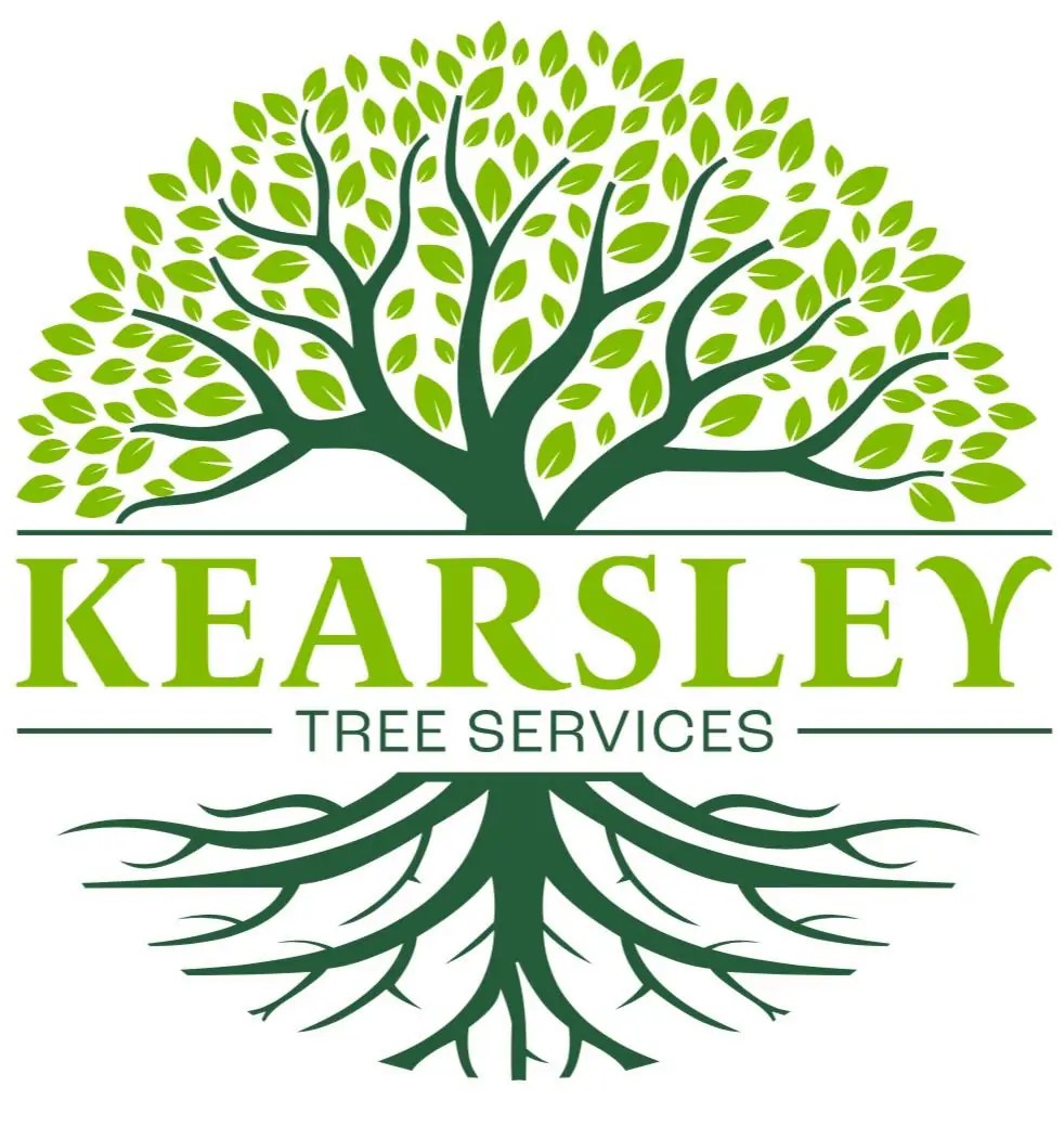 Tree Services Wigan Kearsley Tree Services