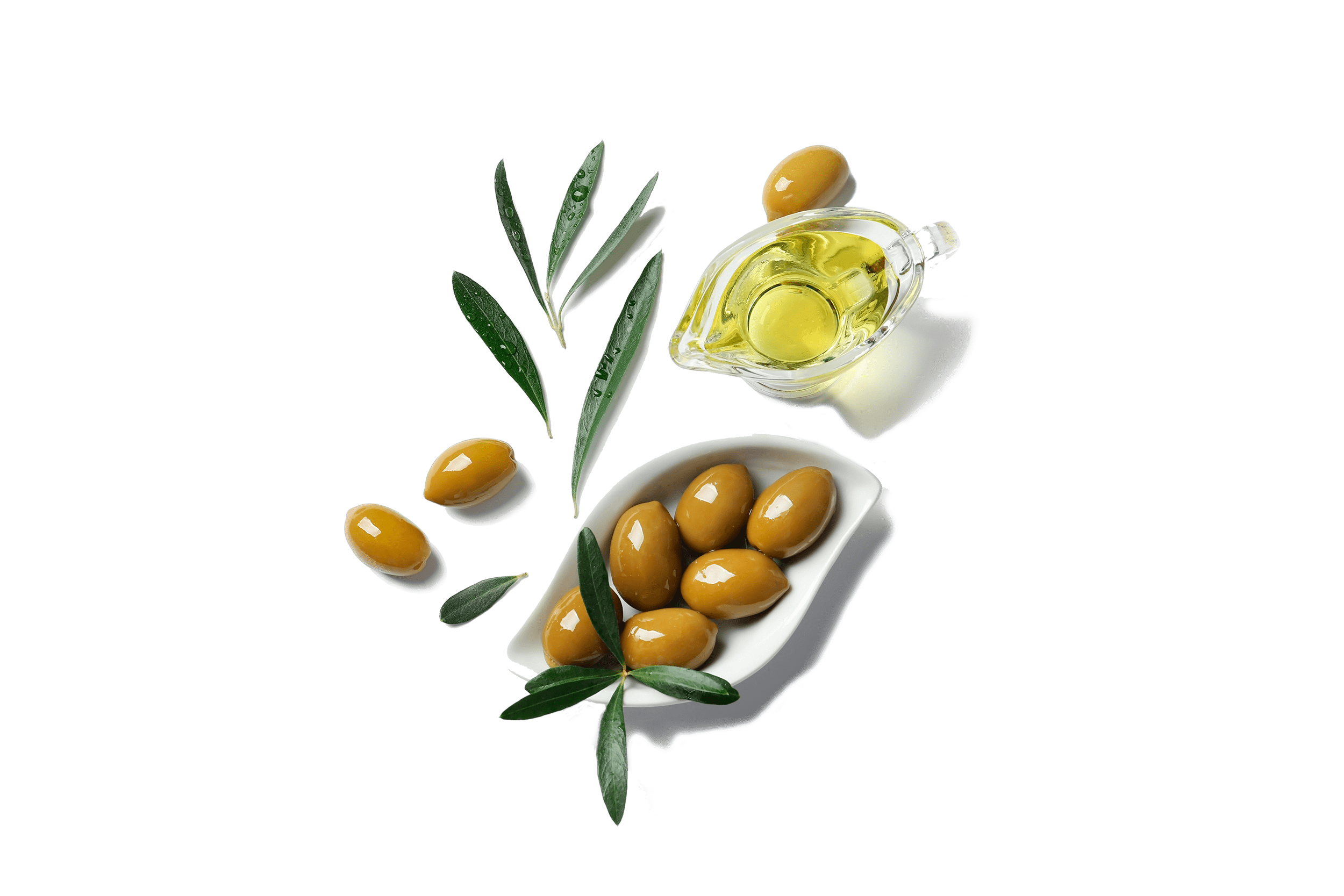 Olive Leaf Extract Wholesale Manufacturer & Supplier KEB Nutraceutical