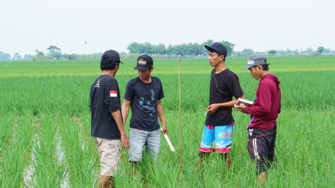 Menguatkan Gotong Royong melalui Sekolah Lapangan Pertanian Biointensif -  Koalisi Rakyat untuk Kedaulatan Pangan